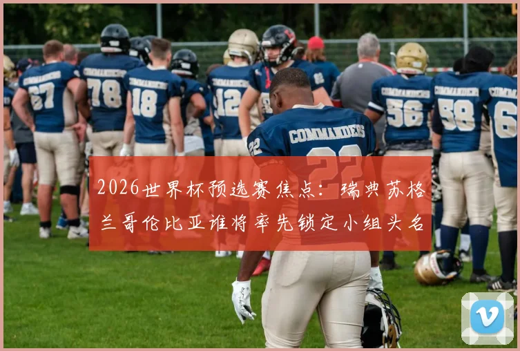 2026世界杯预选赛焦点：瑞典苏格兰哥伦比亚谁将率先锁定小组头名？附历年出线球队分析
